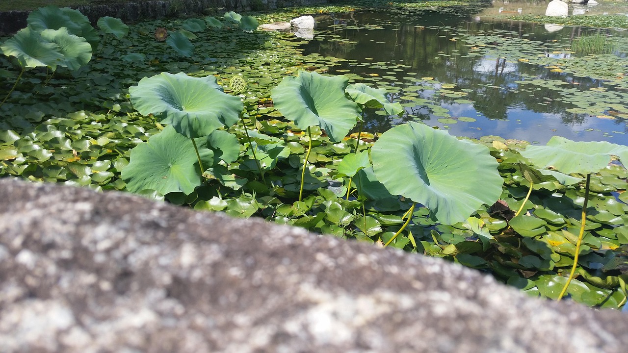 영주 실용음악학원