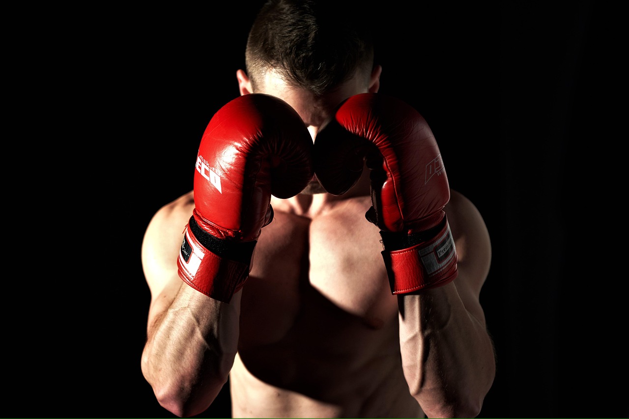ufc 알도 할로웨이 동영상
