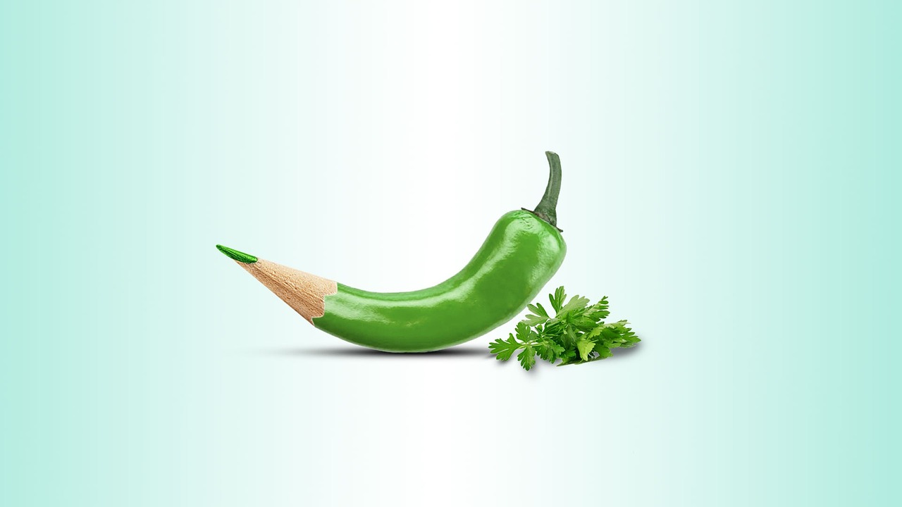 포토샵 cs2