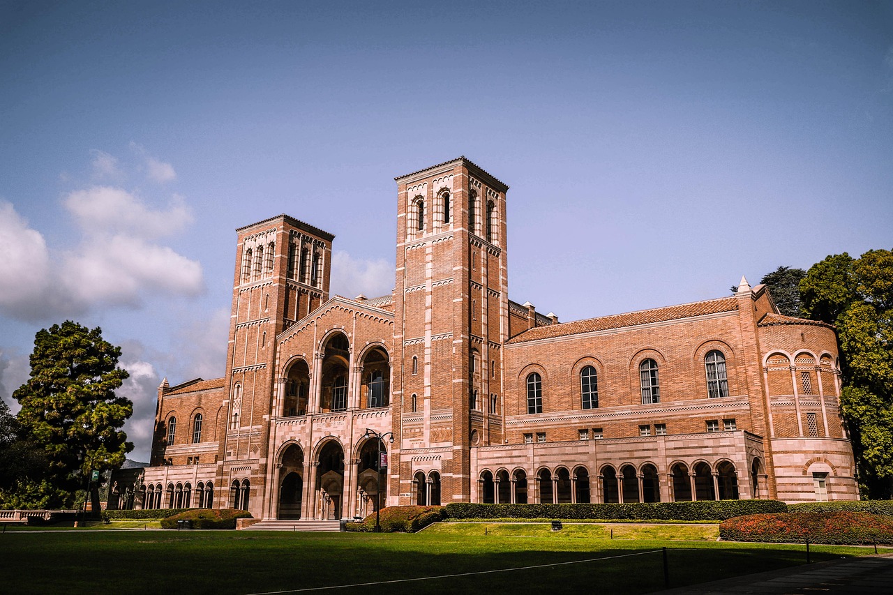 ucla 편입