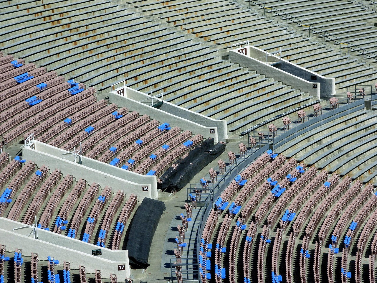 ucla 편입