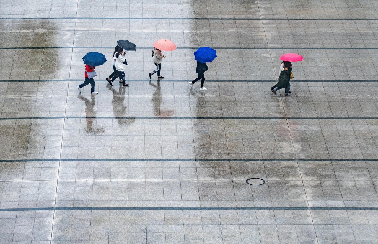 노란우산공제 폐업