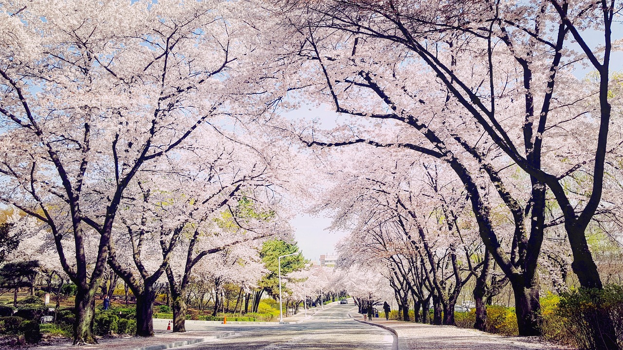 대구 판넬시공