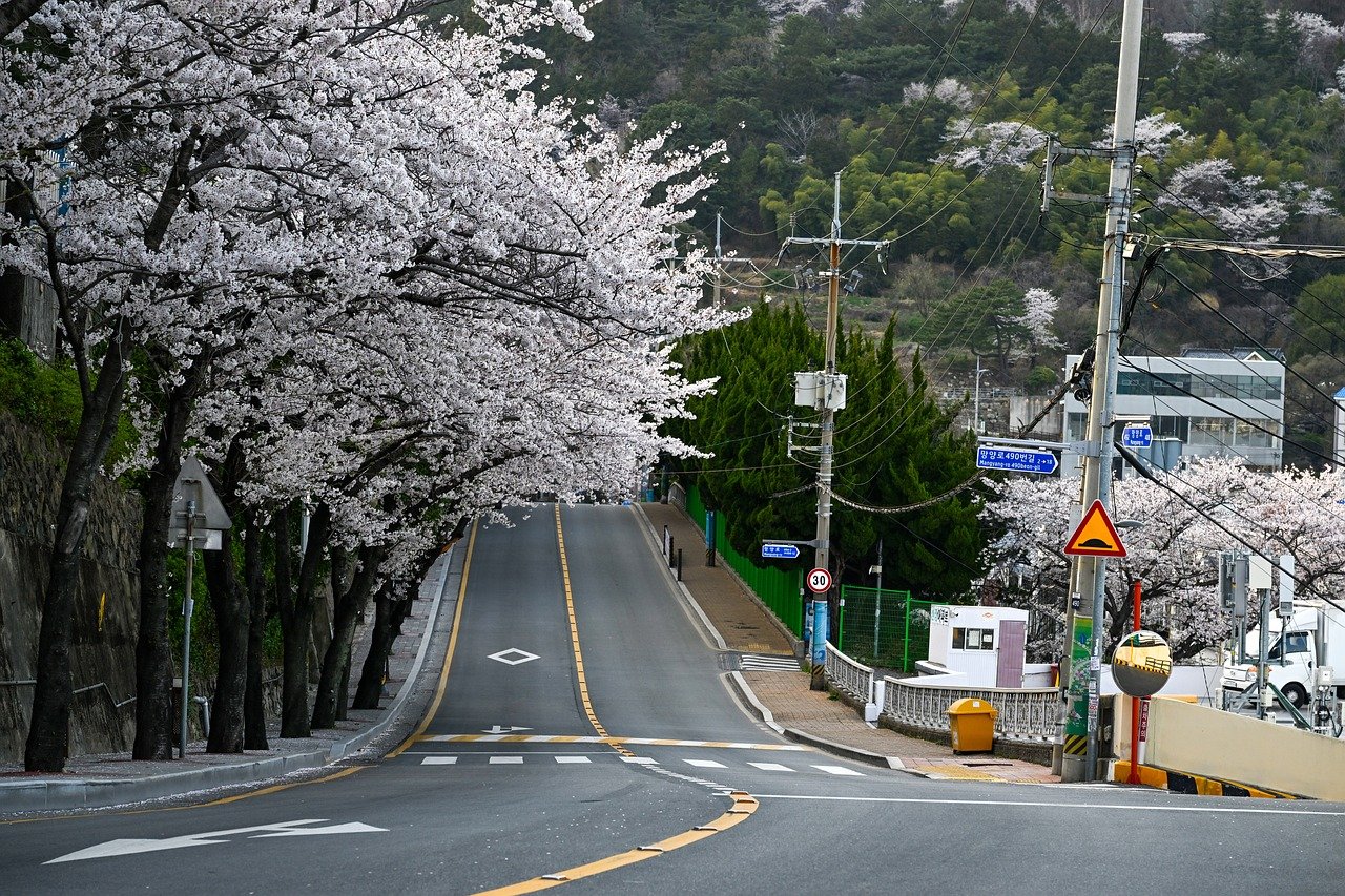 부산 렌트